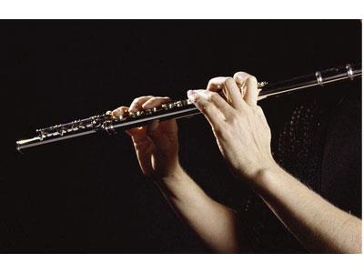 招聘邯郸长笛家教老师